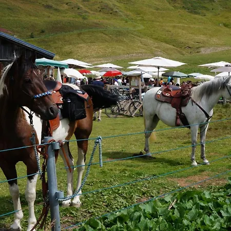 Arpitan - Arpitan 2 - Grand Massif Bed & Breakfast