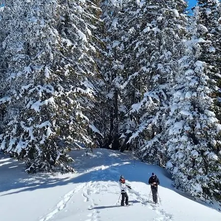 Bed & Breakfast Arpitan - Arpitan 2 - Grand Massif