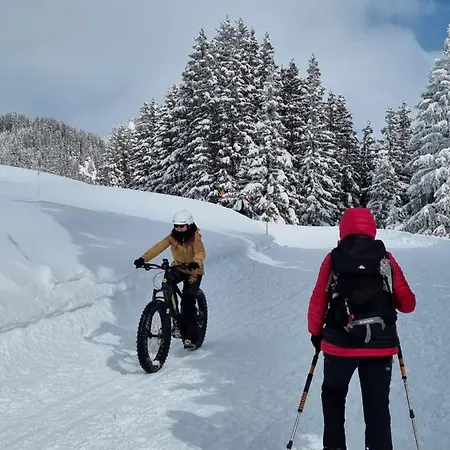 Arpitan - Arpitan 2 - Grand Massif Bed & Breakfast *